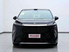 Buick Zhijing Shijia Luxury Edition - photo 3