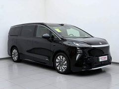 Buick Zhijing Shijia Luxury Edition - photo 4