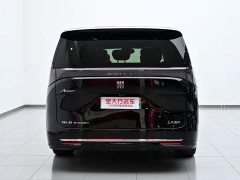 Buick Zhijing Shijia Luxury Edition - photo 8