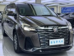 Buick GL8 Land Executive Cabin 652T Luxury - photo 3