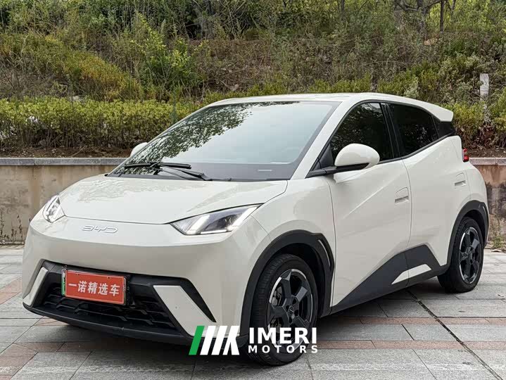 BYD Seagull Freedom Edition - ავტომობილი ჩინეთიდან