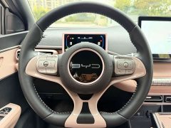 BYD Seagull Freedom Edition - ფოტო 10