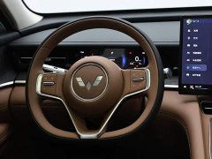 Wuling Starlight L 260km Six-Seat Flagship - ფოტო 16