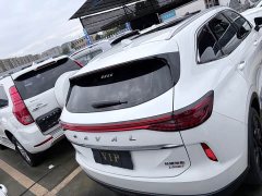 Haval H6S 2.0T Two-Wheel Drive Smart Edition - фото 14