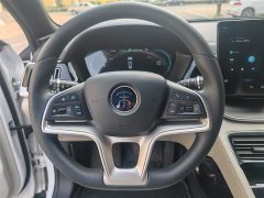 BYD Song Plus New Energy EV Premium - photo 14