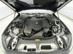 Mercedes-Benz E-Class New Energy E 350 e L Plug-in Hybrid Sport Sedan - photo 12