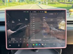 Tesla Model Y Rear-Wheel Drive - ფოტო 15