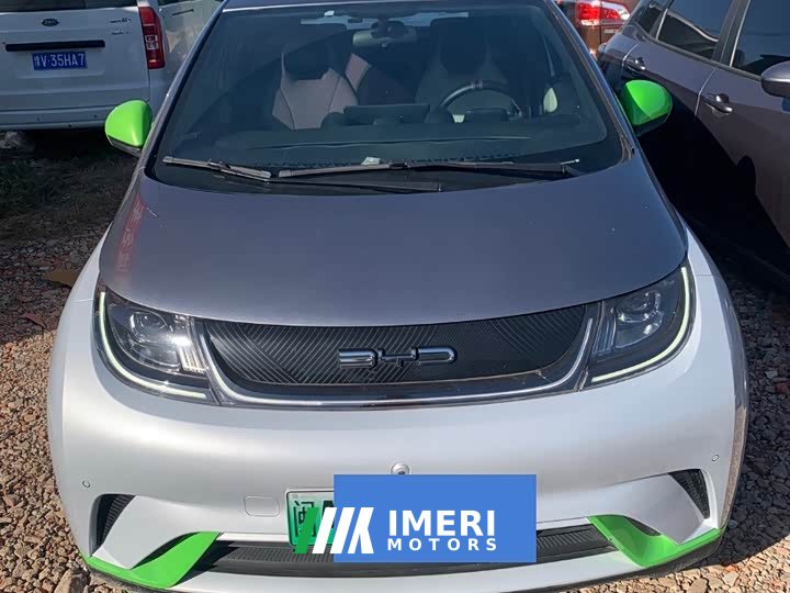 BYD Dolphin 401km Knight Edition