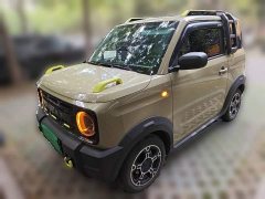 Geely Panda 200km Panda Knight - photo 1