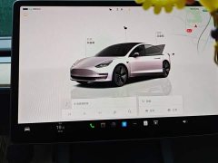 Tesla Model 3 Rear-Wheel Drive - ფოტო 13