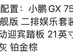 Xpeng GX Pure Electric 750 AWD Ultra Flagship - фото 6