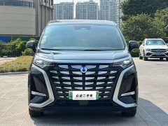Denza D9 DM-i 945 Executive Edition - ფოტო 2