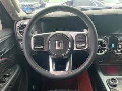 Tank 300 Off-Road Edition 2.0T Challenger - ფოტო 10