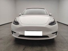 Tesla Model Y Rear-Wheel Drive - ფოტო 2