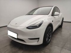 Tesla Model Y Rear-Wheel Drive - ფოტო 3
