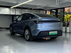 Tesla Model Y Rear-Wheel Drive - ფოტო 11