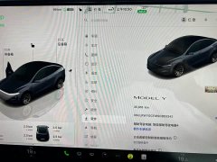 Tesla Model Y Rear-Wheel Drive - ფოტო 8