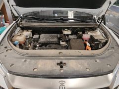 BYD Song Pro New Energy Champion Edition DM-i 71KM Leading Type - photo 10