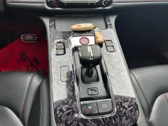 Trumpchi Leopard 270T DCT J16 - ფოტო 10