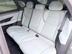Zeekr 001 YOU Edition 100kWh AWD - photo 12