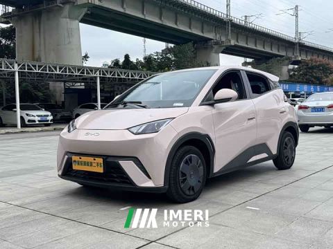 2024 BYD Seagull Glory Edition 305km Vitality Version