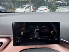 BYD Seagull Glory Edition 305km Vitality Version - ფოტო 10