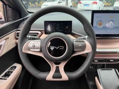 BYD Seagull Glory Edition 305km Vitality Version - ფოტო 11