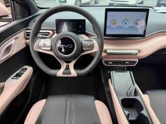 BYD Seagull Glory Edition 305km Vitality Version - ფოტო 12