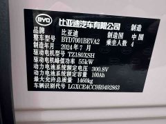 BYD Seagull Glory Edition 305km Vitality Version - ფოტო 13