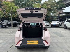 BYD Seagull Glory Edition 305km Vitality Version - ფოტო 14