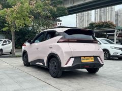 BYD Seagull Glory Edition 305km Vitality Version - ფოტო 3