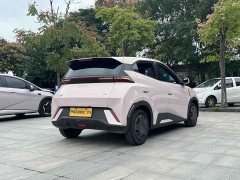 BYD Seagull Glory Edition 305km Vitality Version - ფოტო 7