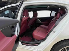 BMW 5 Series 525Li Luxury Package - ფოტო 16