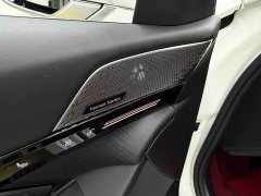 BMW 5 Series 525Li Luxury Package - ფოტო 9