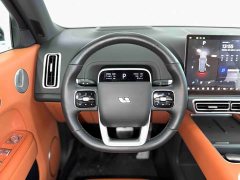 Li Auto L9 Pro - ფოტო 14