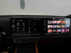 Li Auto L9 Pro - ფოტო 18
