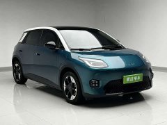 GAC AION UT 420 Smart Premium Edition - ფოტო 3