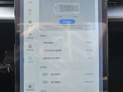 XPeng P5 550P - ფოტო 9