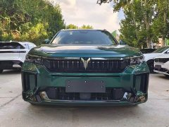 Voyah Lantu FREE 318 318km RWD World Tour Edition - фото 2
