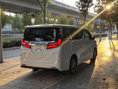 Toyota Alphard Hybrid 2.5L Premium Edition - photo 8