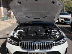 BMW 3 Series 320Li M Sport Package - ფოტო 9