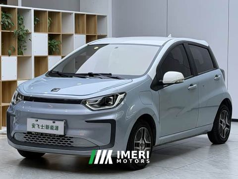 2022 JAC Flower Fairy Four-Leaf Clover