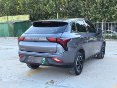 Neta V Long-Range Entertainment Edition Plus - ფოტო 9