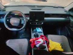 Jetour Jietu Dasheng 1.5T DCT Star Shine PRO - фото 11