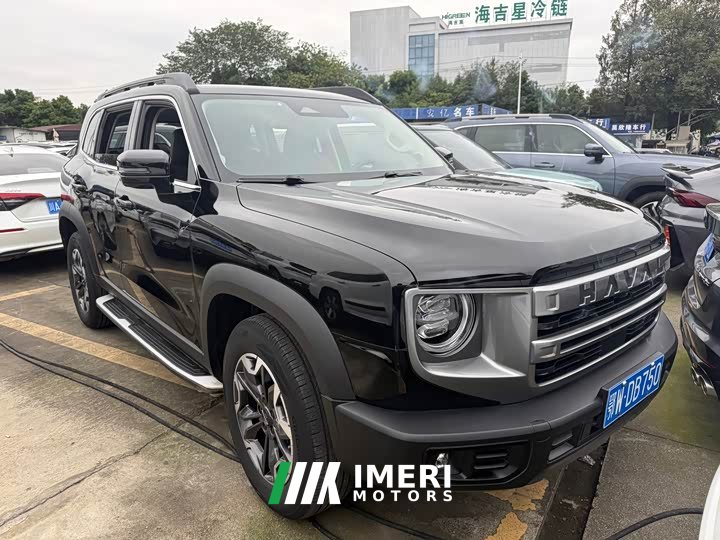 Great Wall Dachshund 2.0T DCT Chinese Rural Dog Edition - автомобиль из Китая