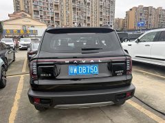 Great Wall Dachshund 2.0T DCT Chinese Rural Dog Edition - фото 16