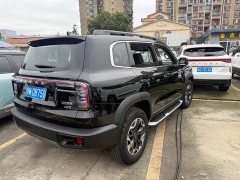 Great Wall Dachshund 2.0T DCT Chinese Rural Dog Edition - фото 17