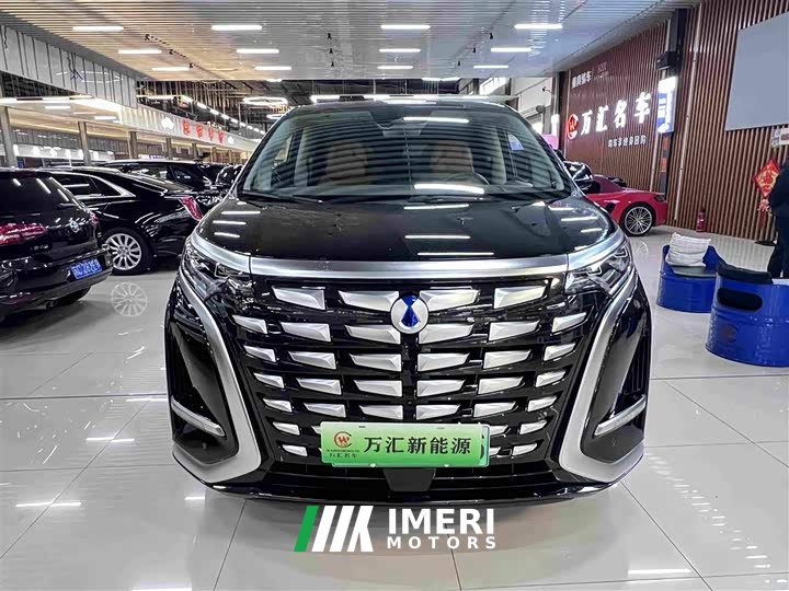 Denza D9 DM-i 970 AWD Premium Edition