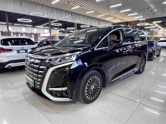 Denza D9 DM-i 970 AWD Premium Edition - ფოტო 2