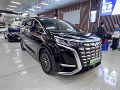 Denza D9 DM-i 970 AWD Premium Edition - ფოტო 3
